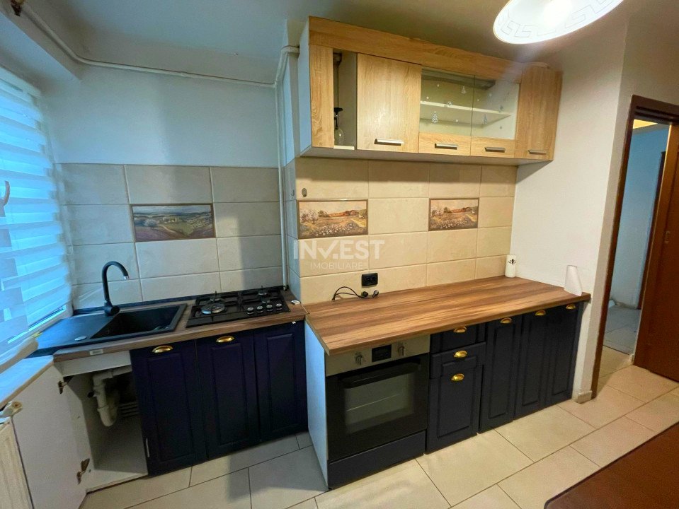 Apartament 3 camere decomandat-Tudor Vladimirescu-Bucsinescu - 11