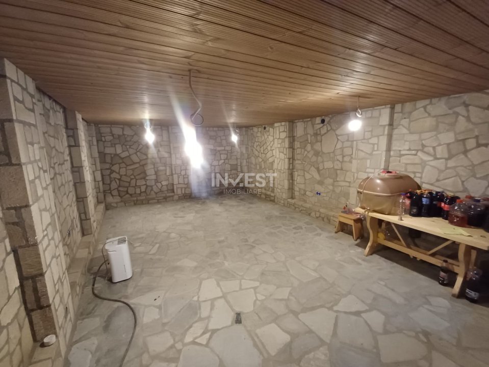 CASA PREMIUM  MIROSLAVA , 250MP UTILI, 5 CAMERE, BECI, 2 GARAJE, 1100 MP TEREN - 19