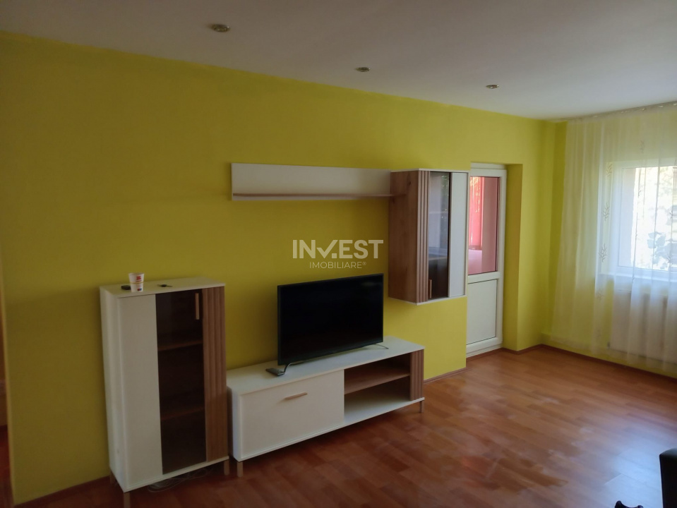 INCHIRIERE-APARTAMENT 3 CAMERE-VALEA LUPULUI - 14