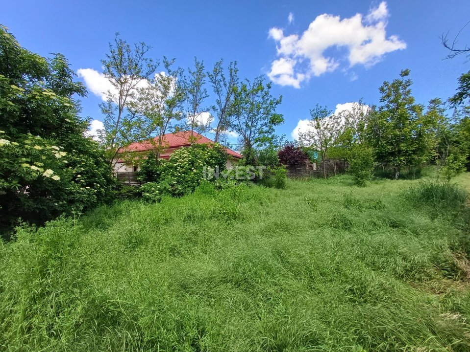 TEREN INTRAVILAN, 602 MP, REDIU - 2