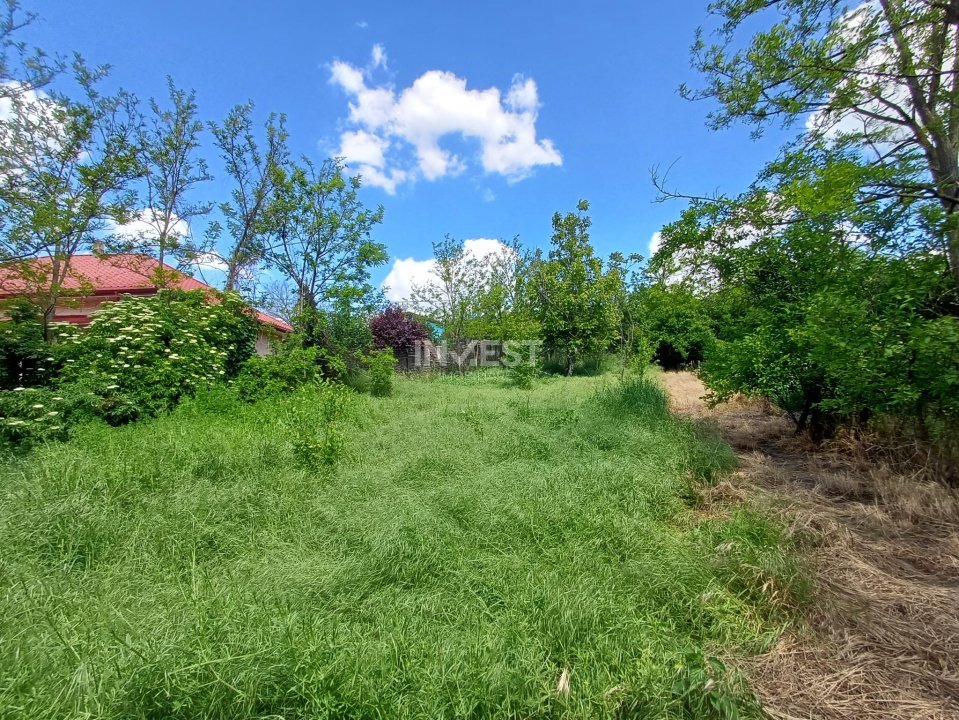 TEREN INTRAVILAN, 602 MP, REDIU - 1